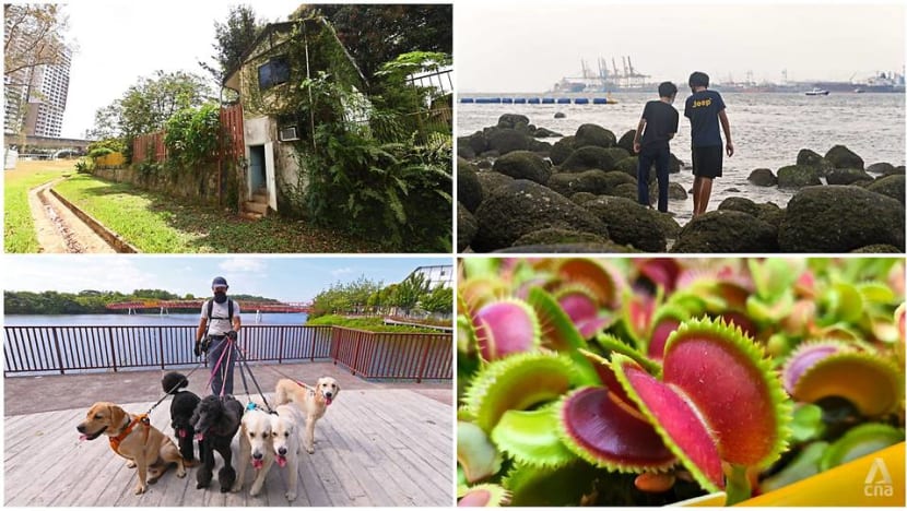 Up Your Alley: Punggol’s gleaming waterfront living steeped in rustic charm