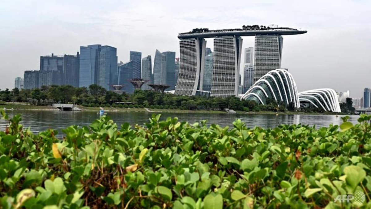 Komentar: Manfaat pasar perdagangan karbon baru di Singapura