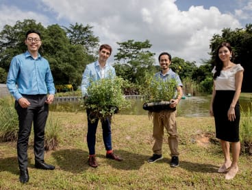 NUS alumni use plastic and glass waste to make floating garden of edible plants