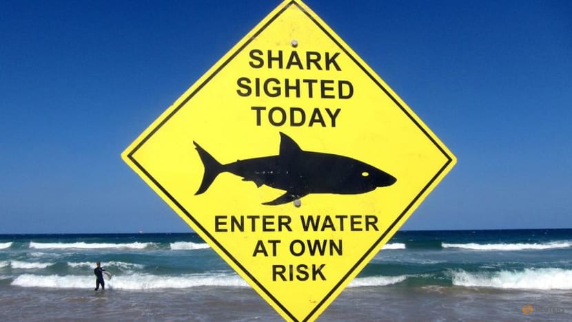 Girl killed in shark attack on Australia's west coast Girl killed in shark attack on Australia's west coast