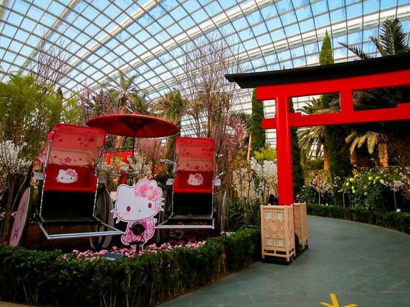Kawaii combination: Cherry blossoms and Hello Kitty at Gardens by the Bay Kawaii combination: Cherry blossoms and Hello Kitty at Gardens by the Bay