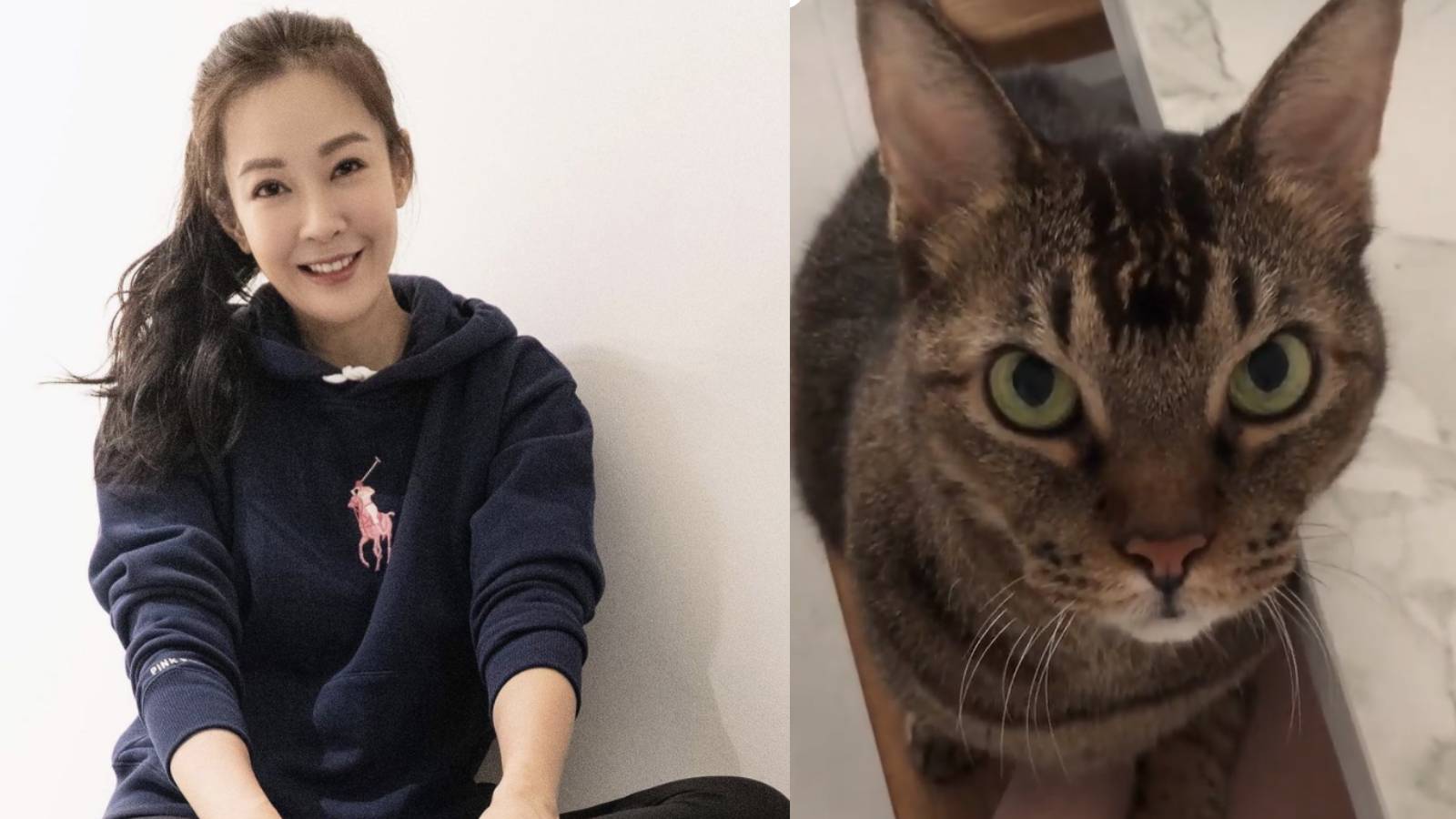 “It Felt Like I Was Dropped Into Hell”: Jesseca Liu On Learning That Her Beloved 14-Year-Old Cat Has Final Stage Pancreatic Cancer “It Felt Like I Was Dropped Into Hell”: Jesseca Liu On Learning That Her Beloved 14-Year-Old Cat Has Final Stage Pancreatic Cancer