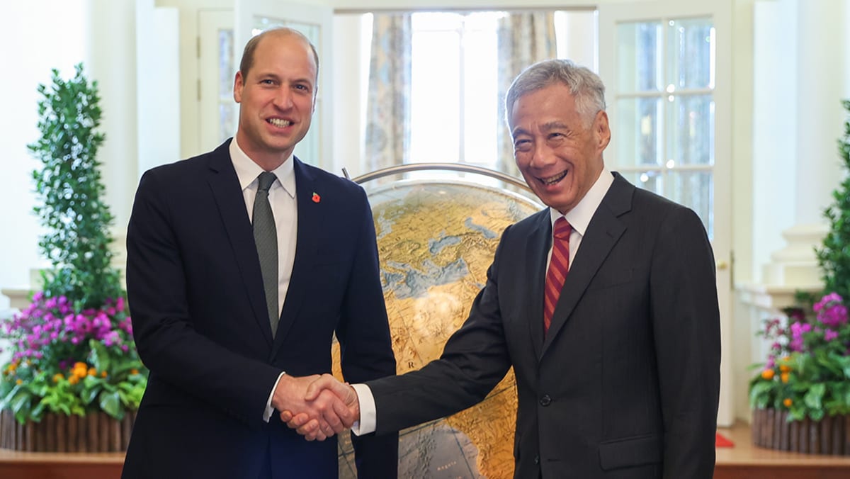 In pictures: Prince William in Singapore