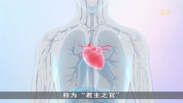 狮城有约 | 生活小学堂：五味养生 - 苦味入心