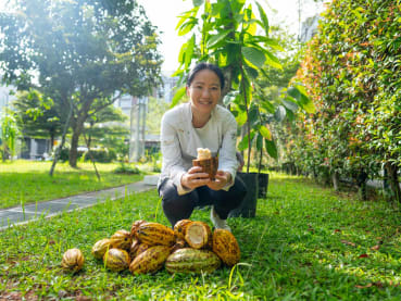 Chocolate grown in Singapore? Dessert chef Janice Wong is planting 1,000 cacao trees here