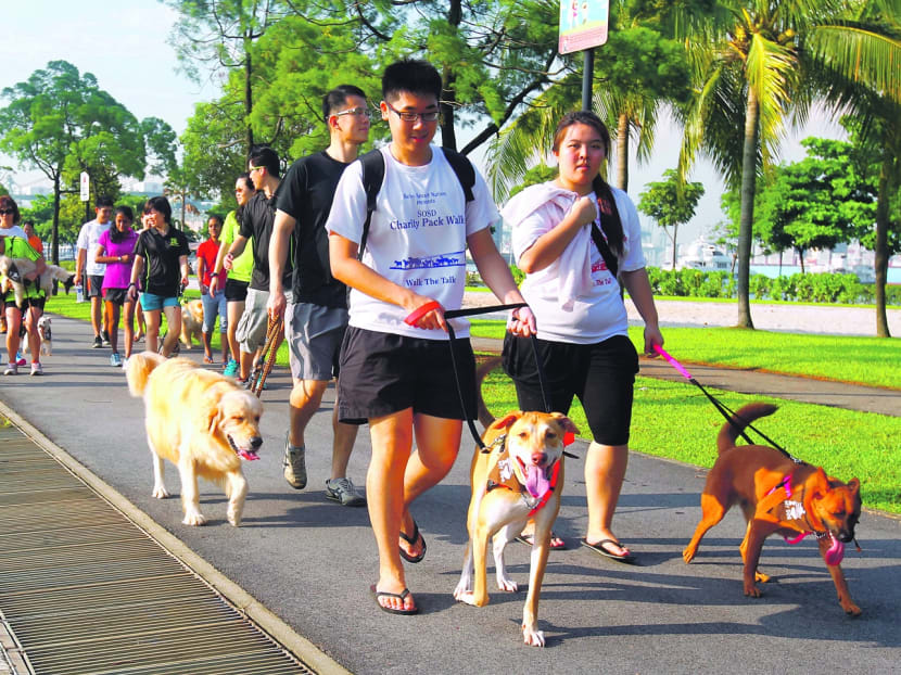 Dog owners taking part in SOSD Charity Pack Walk 2014, which took place at the Grand Lawn at the West Coast Park on May 11, 2014. Photo. Ernest Chua.