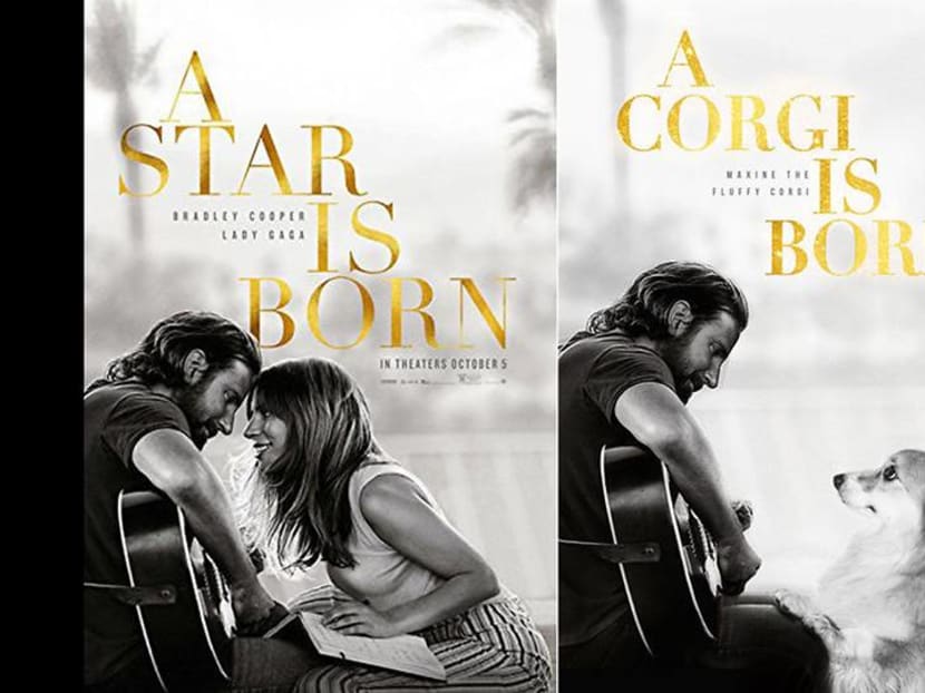 Cuteness overload: Owner Photoshops pet corgi into movie posters Cuteness overload: Owner Photoshops pet corgi into movie posters