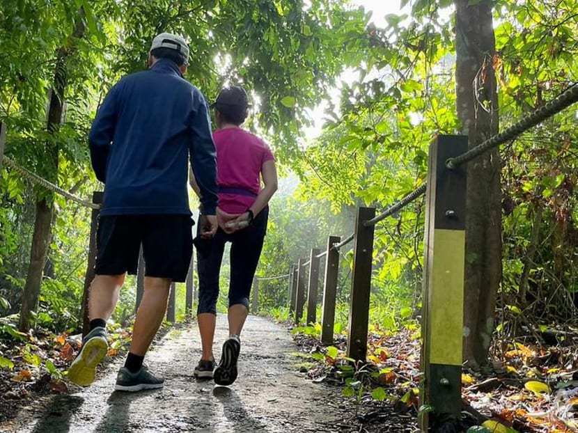 IN FOCUS: From ‘devastated’ land to many long trails: Singapore’s path to becoming a hiker’s paradise IN FOCUS: From ‘devastated’ land to many long trails: Singapore’s path to becoming a hiker’s paradise