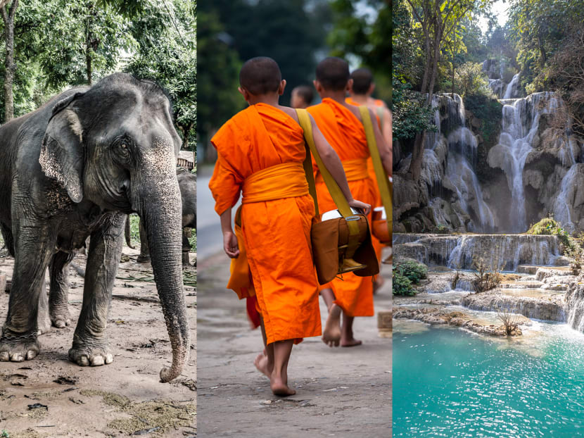 3 days in Luang Prabang, Laos: Sacred rituals, waterfall hikes and elephant encounters