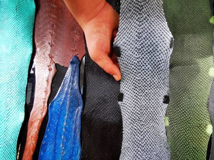 Scaling up, French firm fashions fish skins for luxury market, backed by LVMH Scaling up, French firm fashions fish skins for luxury market, backed by LVMH