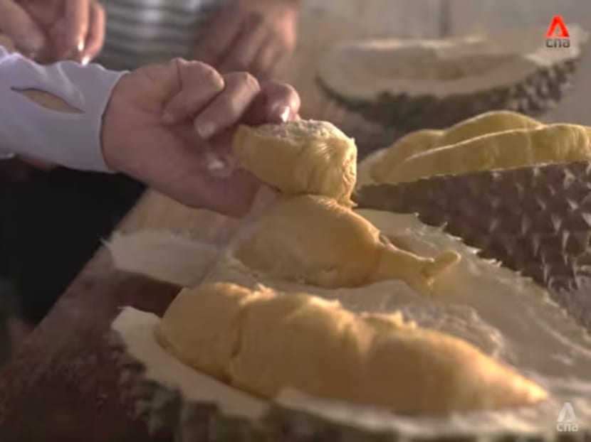 New thorns in town? Here’s why Tupai King, other new durian varieties may be mislabelled New thorns in town? Here’s why Tupai King, other new durian varieties may be mislabelled
