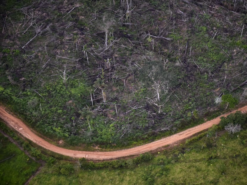 Deforestation has hit particularly hard sub-Saharan Africa and Southeast Asia, where it has accelerated in the last decade.