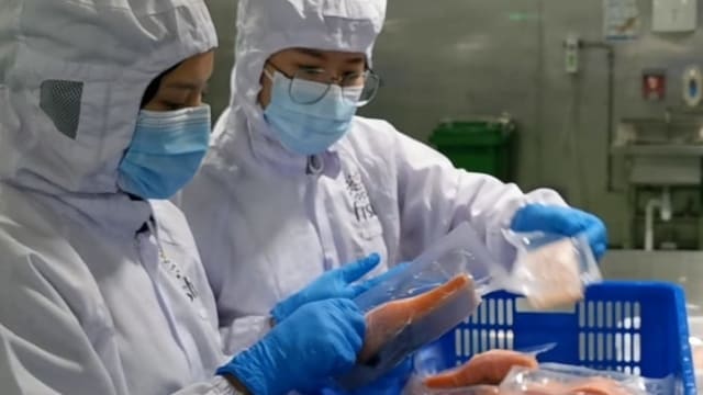 本地海鲜贸易商研发植物海鲜 三到六个月内推出市场
