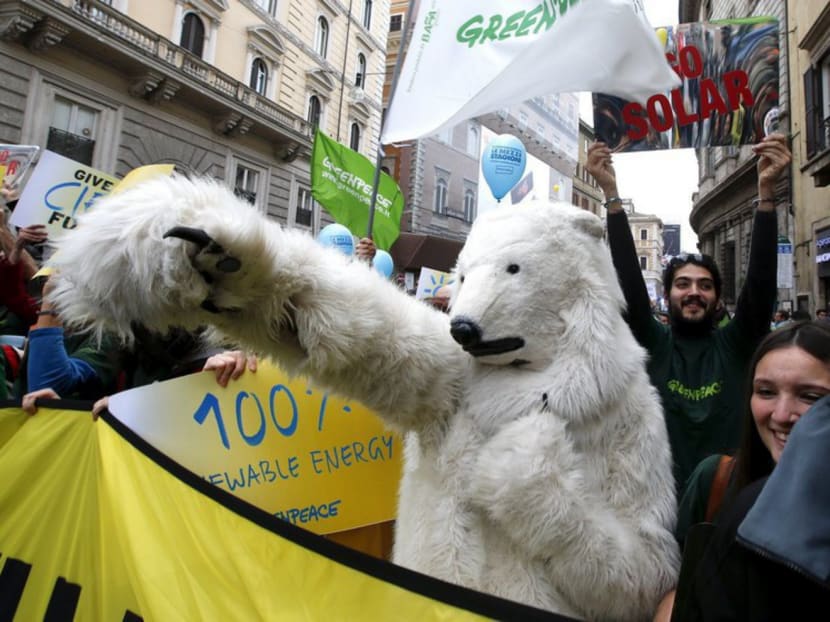 A protester dressed as a bear takes part in a rally held the day before the start of the 2015 Paris World Climate Change Conference, known as the COP21 summit, in Rome, Italy, November 29, 2015. Photo: Reuters