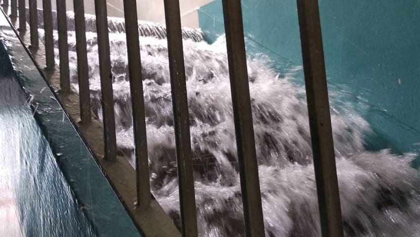 ‘Loud and unexpected’: Water gushes down Hougang block after pipe 'dislodged' during washing ‘Loud and unexpected’: Water gushes down Hougang block after pipe 'dislodged' during washing