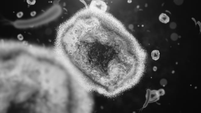 韩国出现首起猴痘确诊病例