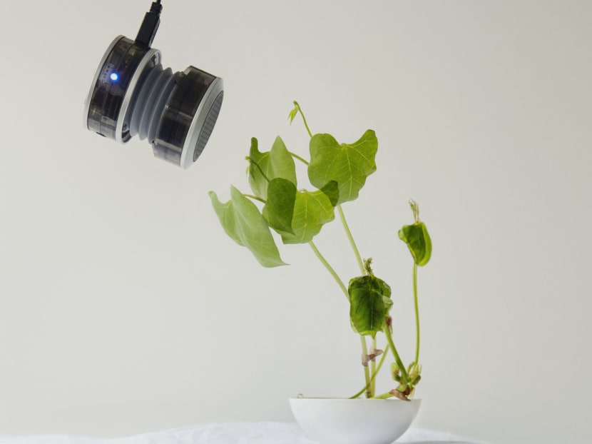 From beaches to beans: Time and material in 4 shows From beaches to beans: Time and material in 4 shows