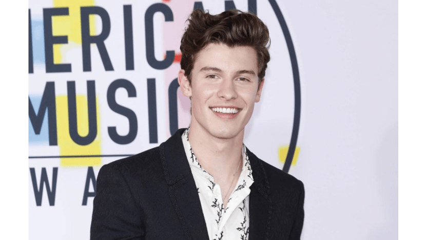 Shawn Mendes donates to Australia wildfire relief efforts