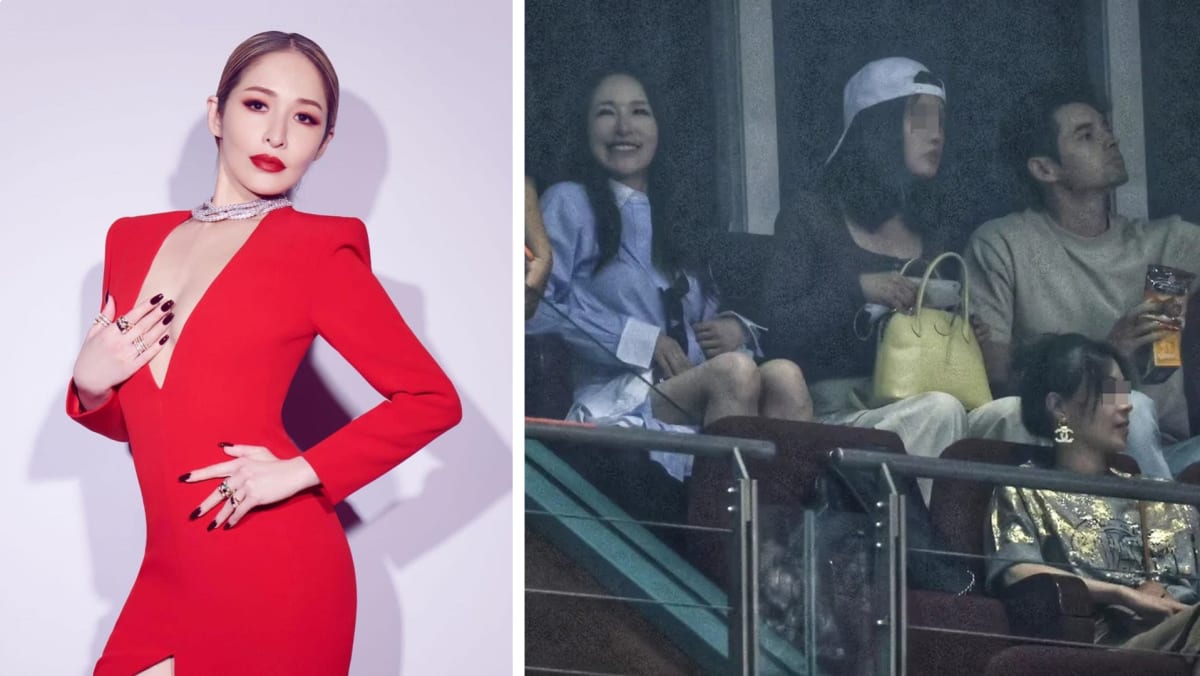 Is this handsome Pan-Asian guy Elva Hsiao's new beau?