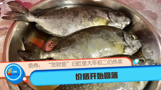 鱼商： “发财鱼”白肚鱼大年初二仍热卖 价格开始回落
