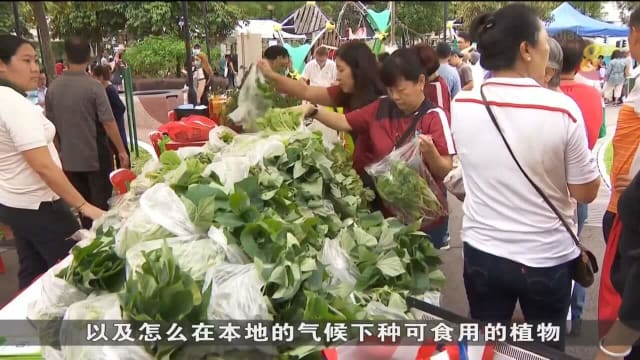 静山区内举办农夫市集 居民能买到社区菜园新鲜蔬菜
