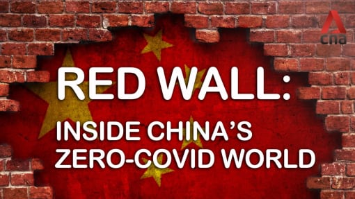 Red Wall: Inside China’s zero-COVID world