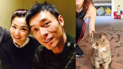 Sammi Cheng & Andy Hui Grieve Over Death Of Abandoned Cat They Adopted