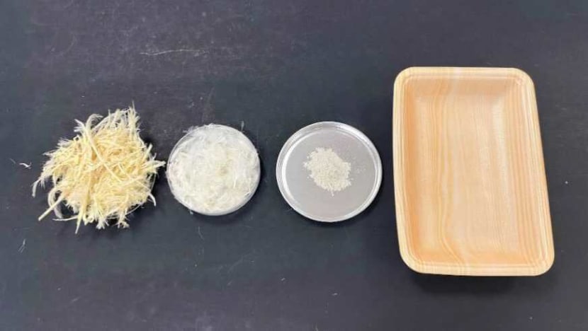 Upcycling chicken feathers among efforts to create Singapore’s first 'zero waste' poultry processing facility Upcycling chicken feathers among efforts to create Singapore’s first 'zero waste' poultry processing facility