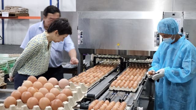 文莱成为我国新进口鸡蛋来源国