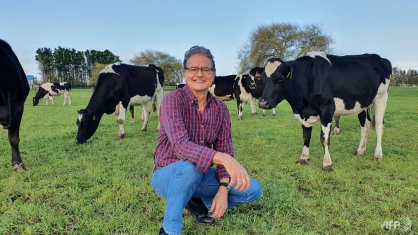 Climate researchers 'potty train' peeing cows Climate researchers 'potty train' peeing cows