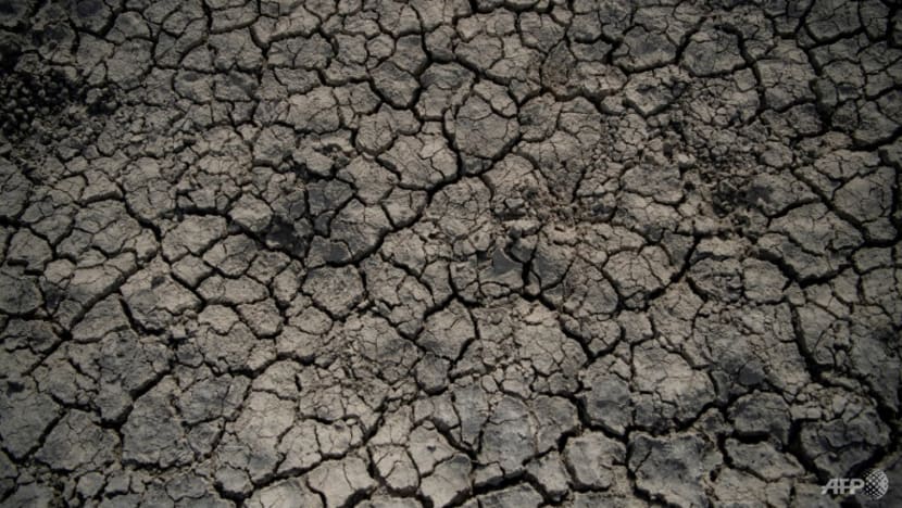 Drought forces water use rethink in Spain Drought forces water use rethink in Spain