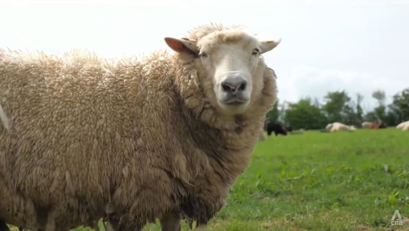 Is the UK heading towards a food supply crisis? Is the UK heading towards a food supply crisis?