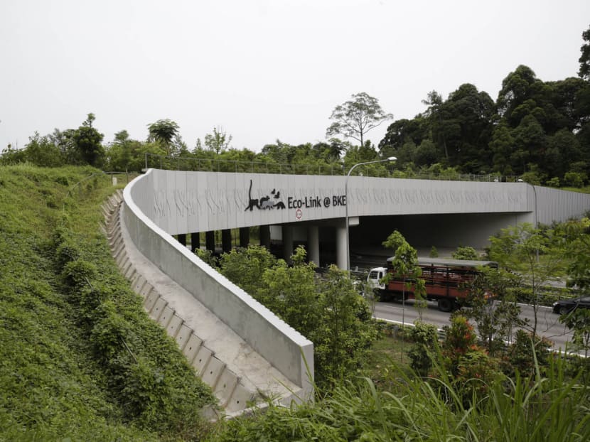 The Eco-Link@BKE is a reminder of the environmental blunder we had made for the nation’s progress. In contrast, the measures taken to preserve offshore landfill Pulau Semakau have been outstanding. However, the landfill is projected to last only until 2035 and there are no more islands like it. Photo: Wee Teck Hian The Eco-Link@BKE is a reminder of the environmental blunder we had made for the nation’s progress. In contrast, the measures taken to preserve offshore landfill Pulau Semakau have been outstanding. However, the landfill is projected to last only until 2035 and there are no more islands like it. Photo: Wee Teck Hian