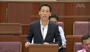 Xie Yao Quan on Constitution and Penal Code Amendment Bills relating to Section 377A