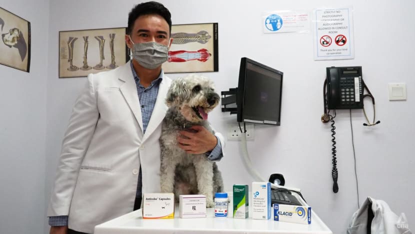 NParks introduces guidelines for antibiotics use in pets to fight antimicrobial resistance NParks introduces guidelines for antibiotics use in pets to fight antimicrobial resistance