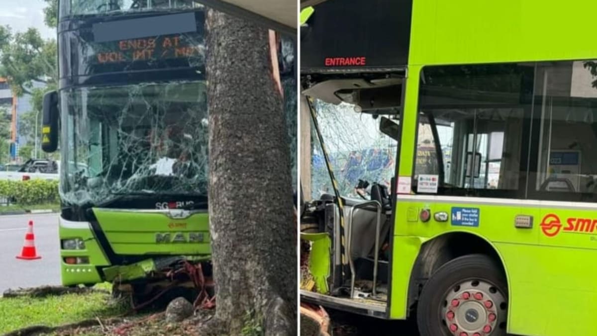 SMRT bus driver, 58, dies after crashing into tree in Woodlands; no ...