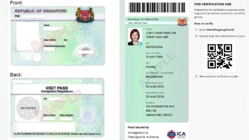 long term visit pass issued by ica