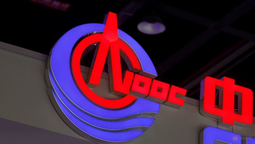 China's CNOOC begins production at new offshore well in Brazil China's CNOOC begins production at new offshore well in Brazil