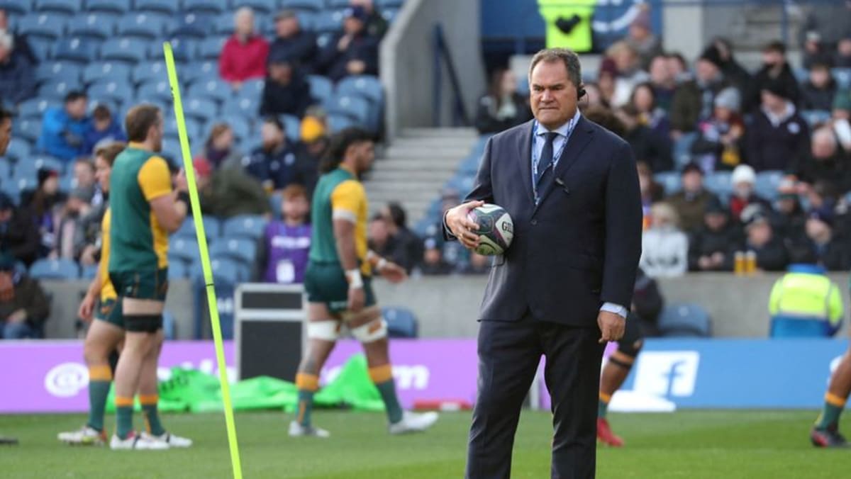 referee-decision-had-no-feel-for-the-game-wallabies-coach
