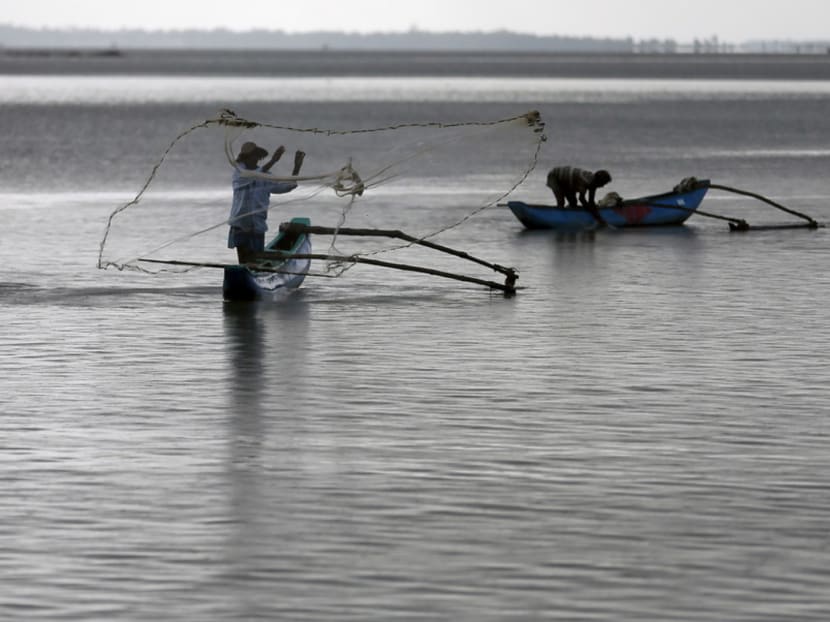 A lack of food for the fish themselves, driven by global warming, has led to lowered catches for Sri Lankan fishermen. Photo: Reuters