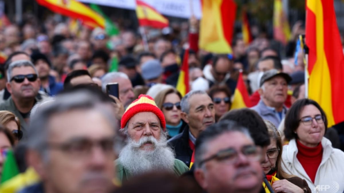 Far-right Vox leads mass protests against Spanish government thumbnail