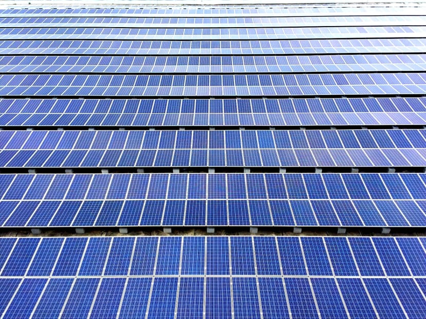 Sunseap Solar panels. Photo credit: Sunseap Group