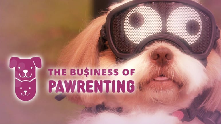 The Business Of Pawrenting