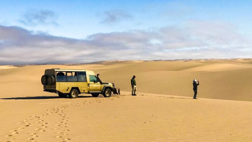 From whale-spotting to desert glamping: Luxury travel experts share their most unforgettable adventures From whale-spotting to desert glamping: Luxury travel experts share their most unforgettable adventures