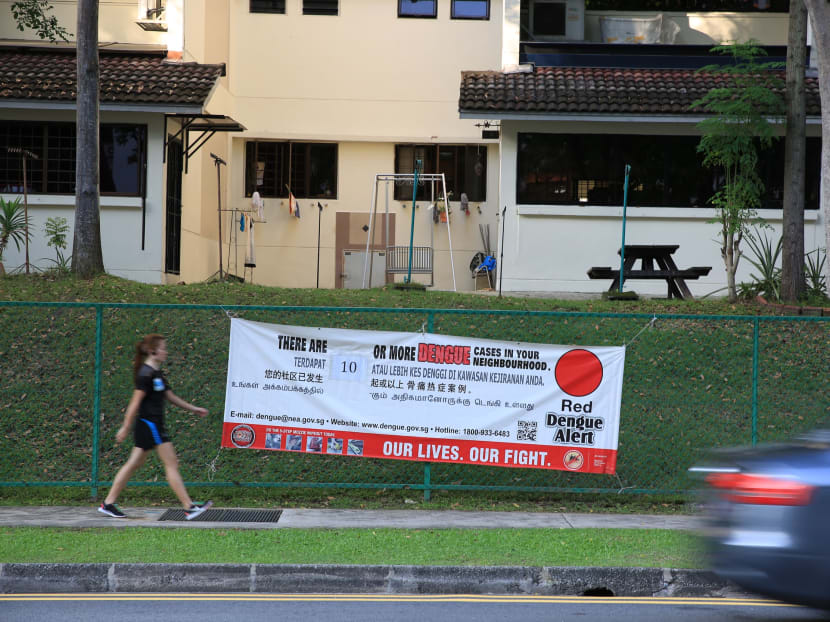 A banner alerting residents of the number of dengue cases in the neighbourhood in front of Shunfu Ville, along Shunfu Rd. Photo: Koh Mui Fong