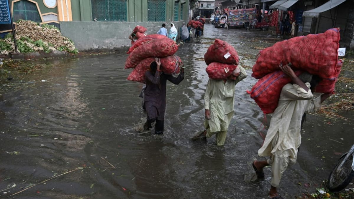 pakistan-floods-better-planning-could-have-limited-loss-of-life-immediate-concerns-include-food-security-say-experts