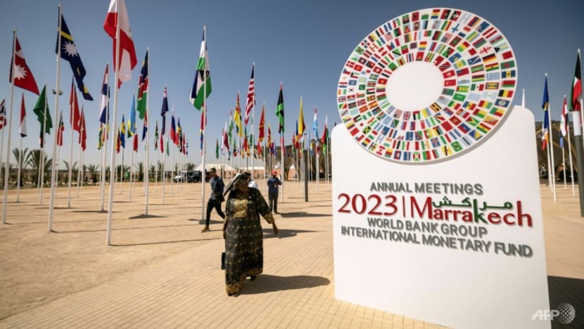 IMF, World Bank hold first meetings in Africa in 50 years
