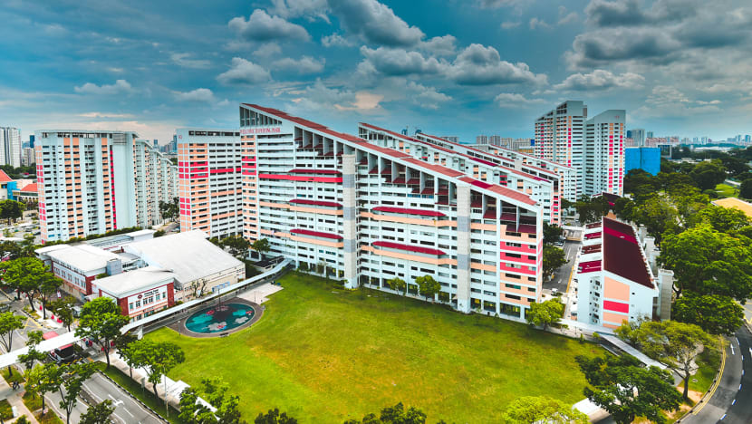 HDB flats above 30 years depreciate less than private non-landed housing: NUS study HDB flats above 30 years depreciate less than private non-landed housing: NUS study