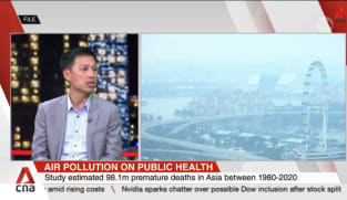135 million premature deaths possibly linked to fine particulate matter pollution: NTU study