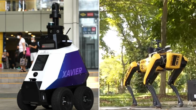 Commentary: Why does Singapore need robots to remind us to be civic-minded?